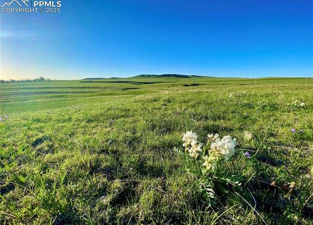 Property at Parcel 3 Barney Rd, Calhan, CO 80808