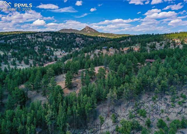 Property at 1066 Pikes Peak Dr, Florissant, CO 80816