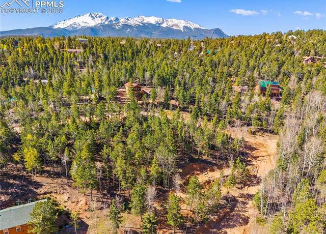 Property at 413 Wakanda Trl, Woodland Park, CO 80863