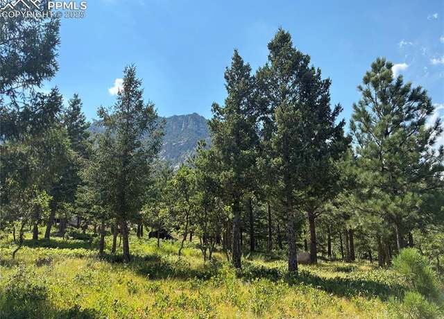 Property at 920 Grey Mountain Pt, Colorado Springs, CO 80906