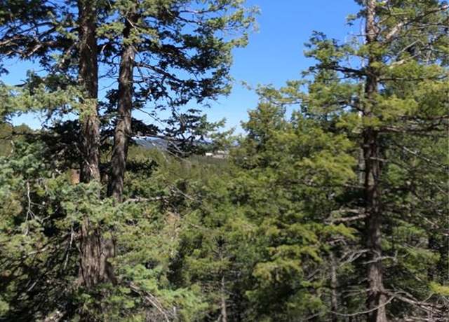 Property at 195 Osoeola Rd, Woodland Park, CO 80863