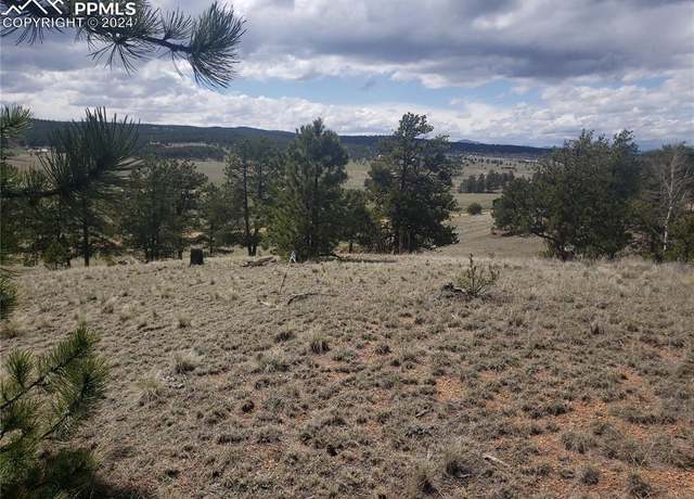 Property at 1938 S Mountain Estates Rd, Florissant, CO 80816