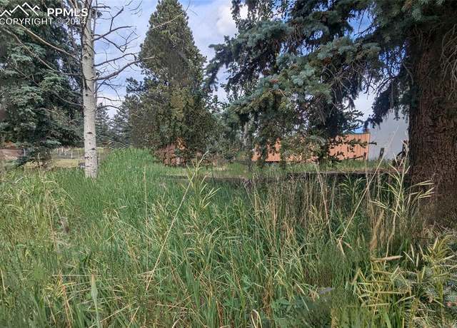 Property at 814 W Lorraine Ave, Woodland Park, CO 80863