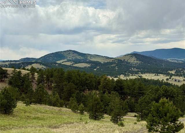 Property at 682 Nancy Ann Arroyo, Guffey, CO 80820