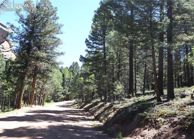 Property at Pitchblende Rd, Florissant, CO 80816