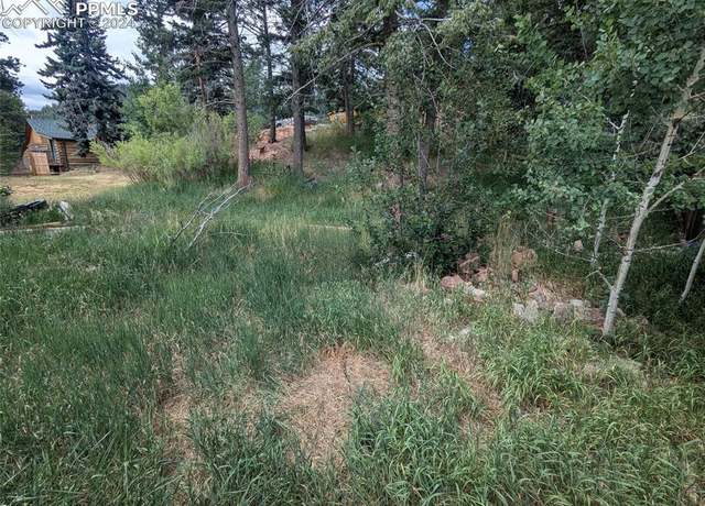 Property at Burdette St, Woodland Park, CO 80863