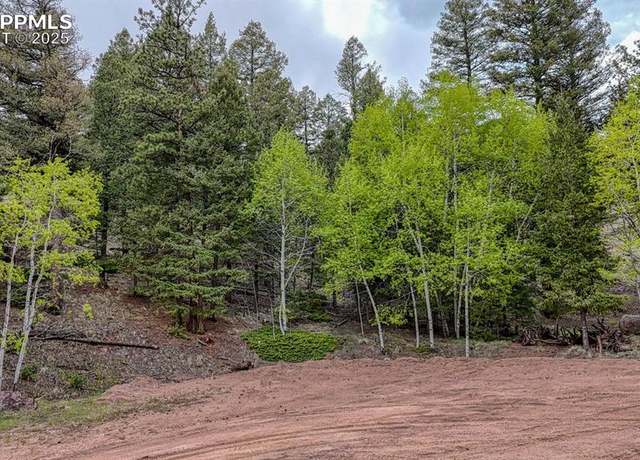 Property at 918 Pinion Ln, Cripple Creek, CO 80813