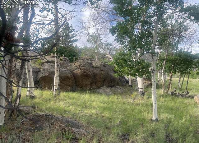 Property at 170 Emerald Way, Lake George, CO 80827