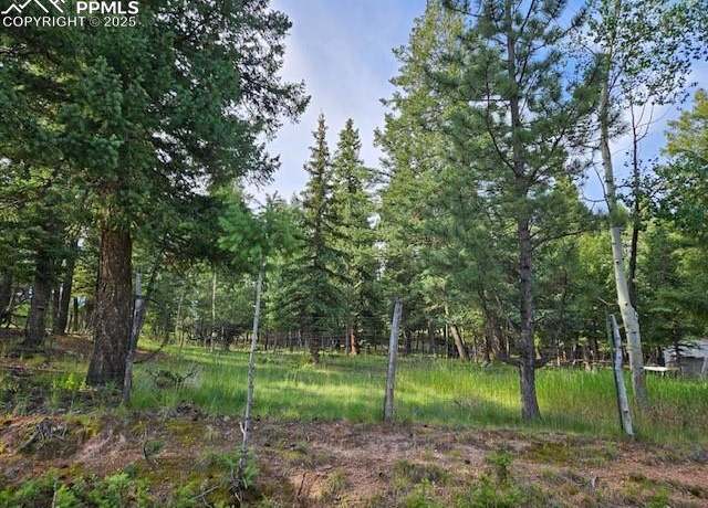 Property at TBD Rolling Park Dr, Woodland Park, CO 80863