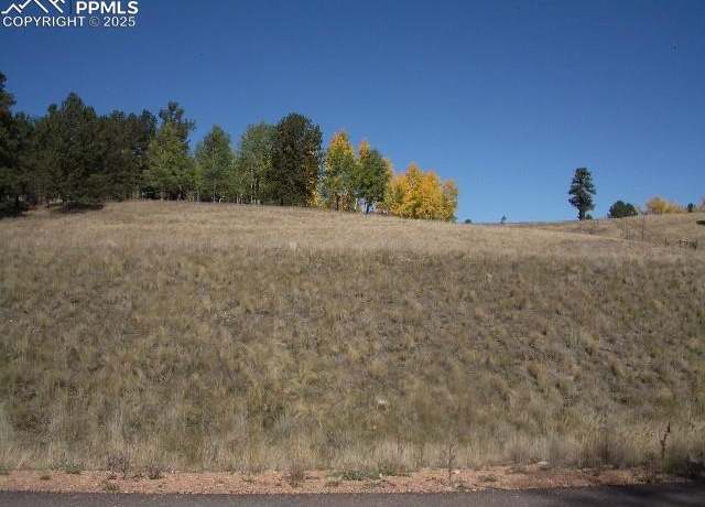 Property at 307 Pinaceae Hts, Divide, CO 80814