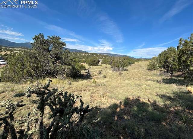 Property at 110 Hideaway Trl, Rockvale, CO 81244