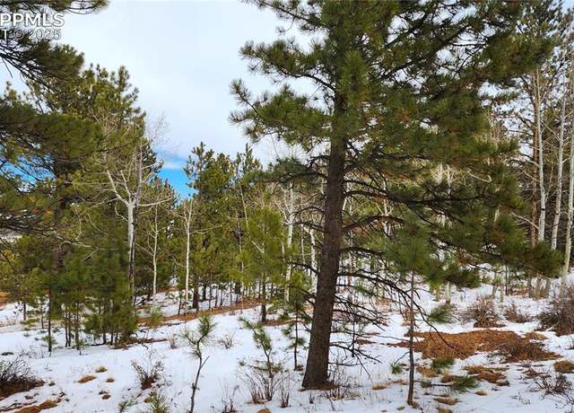 Property at Piney Point Ln, Woodland Park, CO 80863