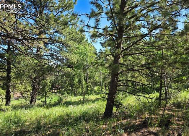 Property at Piney Point Ln, Woodland Park, CO 80863