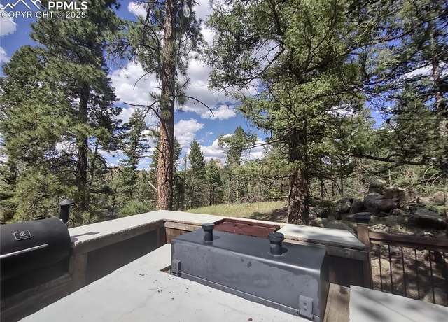 Property at 1176 Trail Creek Rd, Lake George, CO 80827
