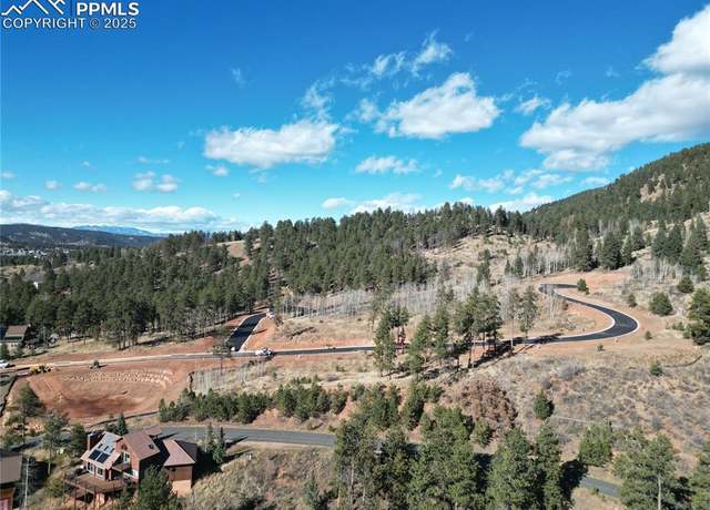 Property at 1410 Red Haven Pl, Woodland Park, CO 80863
