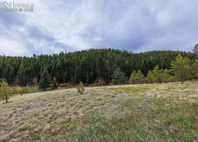 Property at 521 University Dr, Woodland Park, CO 80863