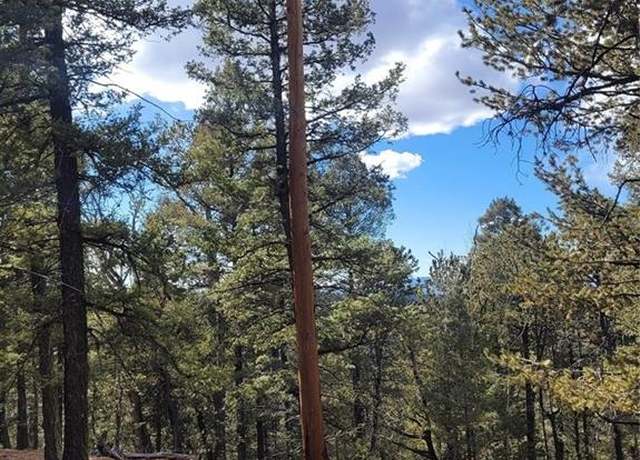 Property at 329 Paradiso Rd, Divide, CO 80814