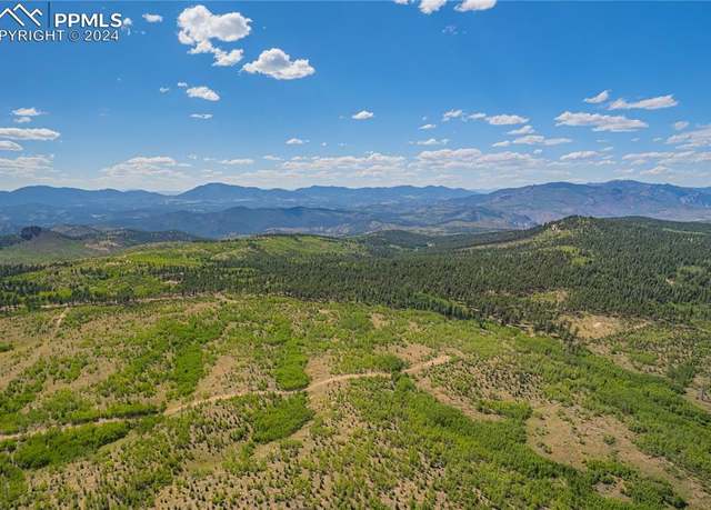 Property at Unit 4 County Road 51, Florissant, CO 80816