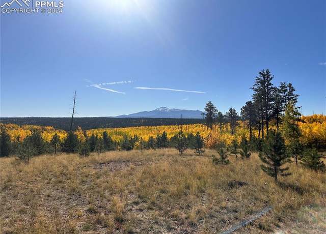 Property at Unit 4 County Road 51, Florissant, CO 80816
