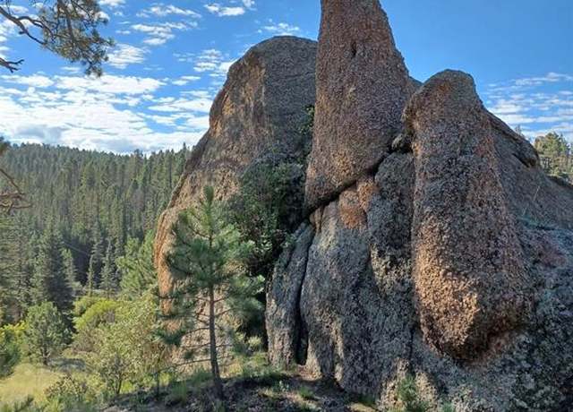 Property at 1505 Arapahoe Creek Trl, Florissant, CO 80816