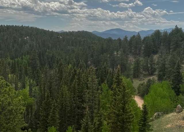 Property at 1505 Arapahoe Creek Trl, Florissant, CO 80816