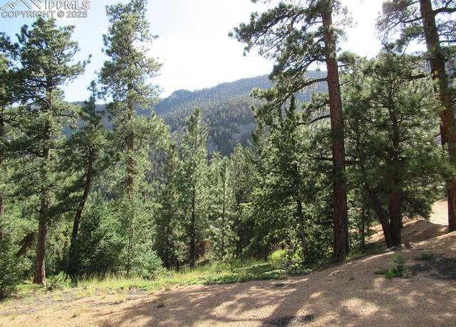 Property at 213 Coffee Pot Rd, Manitou Springs, CO 80829