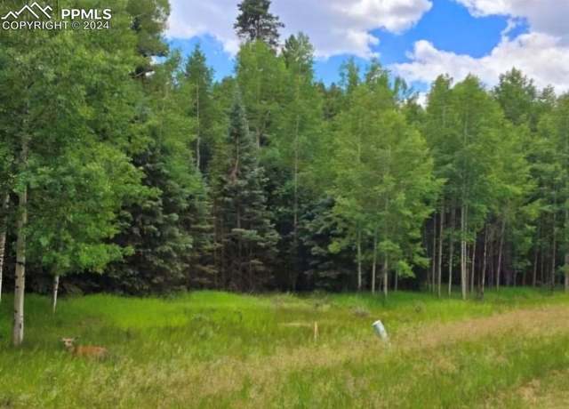 Property at 662 Spring Valley Ln, Florissant, CO 80816