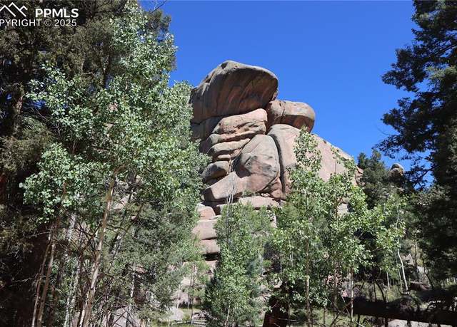 Property at 0 Pitchblende Rd, Florissant, CO 80816