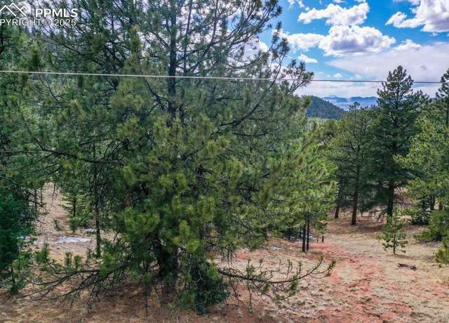 Property at 395 Wabash Ter, Cripple Creek, CO 80813