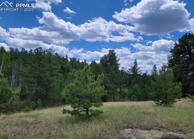Property at 126 Gleneagle Dr, Florissant, CO 80816