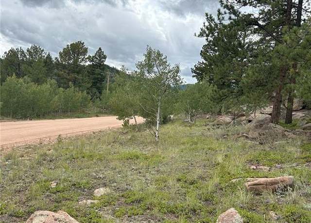 Property at 155 County Road 403, Lake George, CO 80827