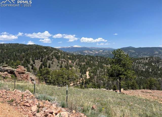 Property at 160 Chateau West Dr, Florissant, CO 80816