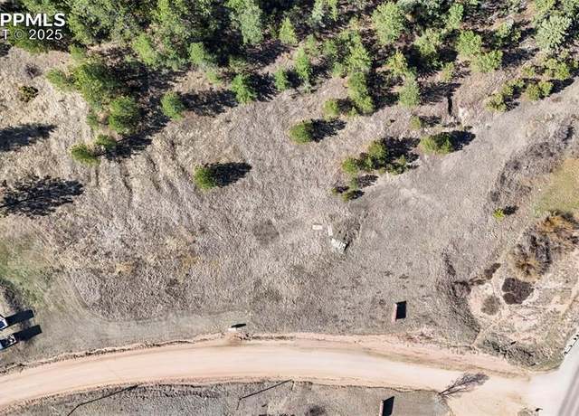Property at 711 Crystal Peak Rd, Florissant, CO 80816
