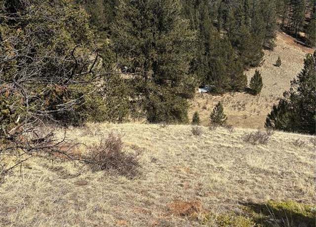 Property at 70 Brown Bear Ln, Cripple Creek, CO 80813