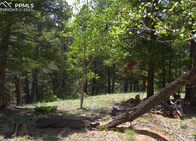 Property at 185 Cherry Lake Dr, Divide, CO 80814