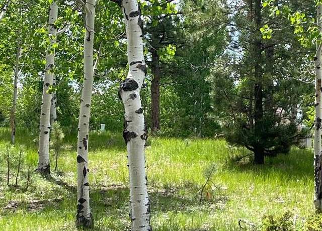 Property at 630 Pembrook Dr, Woodland Park, CO 80863