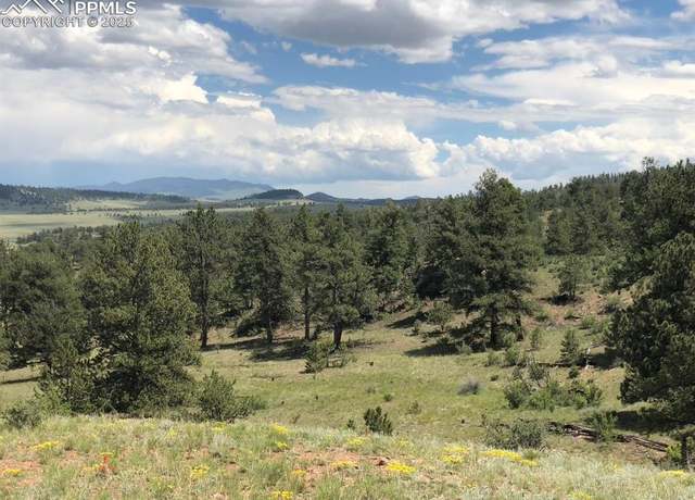 Property at Ouray Rd, Hartsel, CO 80449