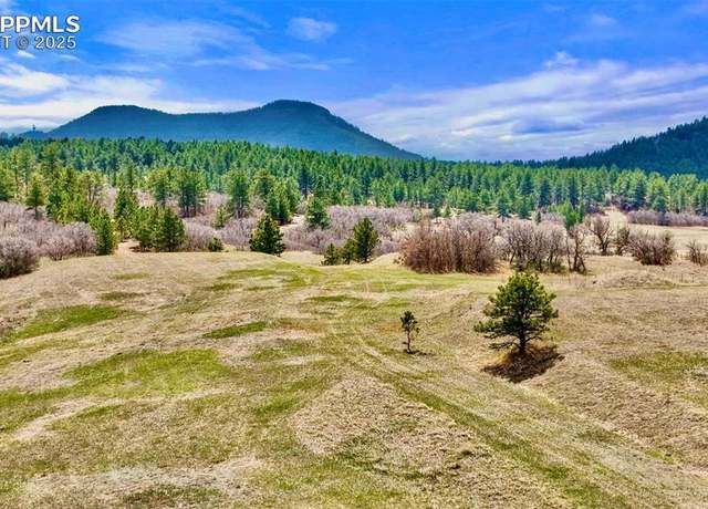 Property at 2 Perry Park Rd, Larkspur, CO 80118