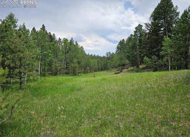 Property at 1694 County Road 512, Divide, CO 80814