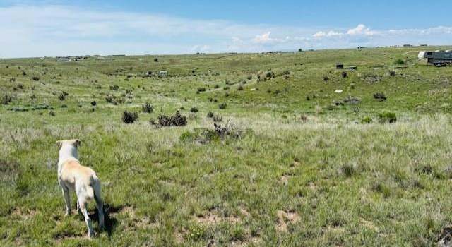 Photo of 6270 Wind Spirit Cir, Fountain, CO 80817