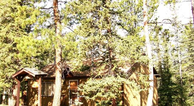 Photo of 4071 Omer Ln, Divide, CO 80814