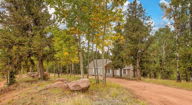 Photo of 541 Brown Bear Dr, Cripple Creek, CO 80813