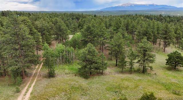 Photo of 4202 Wildhorn Rd, Florissant, CO 80816