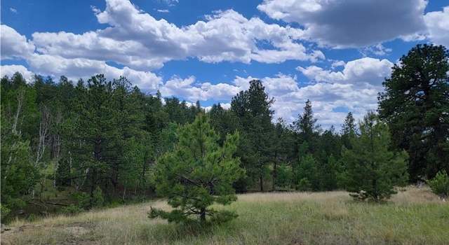 Photo of 126 Gleneagle Dr, Florissant, CO 80816