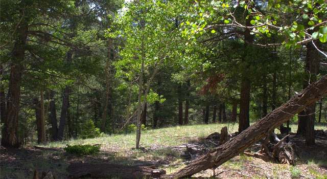 Photo of 185 Cherry Lake Dr, Divide, CO 80814