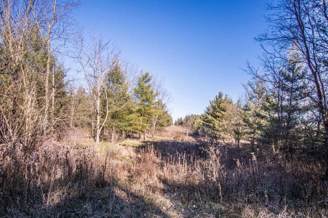 Land For Sale Burlington Wi