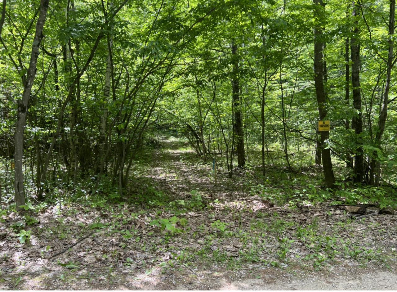 Lt5 E Lost Lake Rd, Wausaukee, WI 54177 | MLS# 1796862 | Redfin