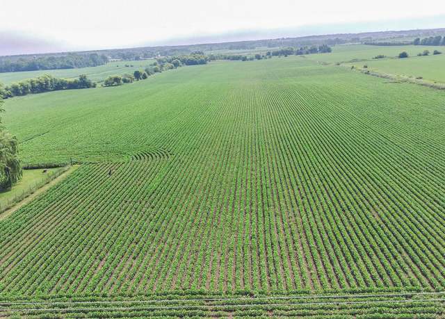 Property at Lt1 Mayfield Rd, Jackson, WI 53037