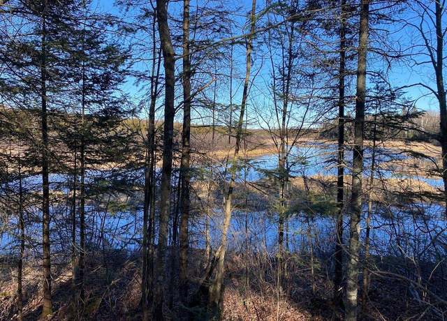 Property at 1022 Peshtigo River Rd, Laona, WI 54541