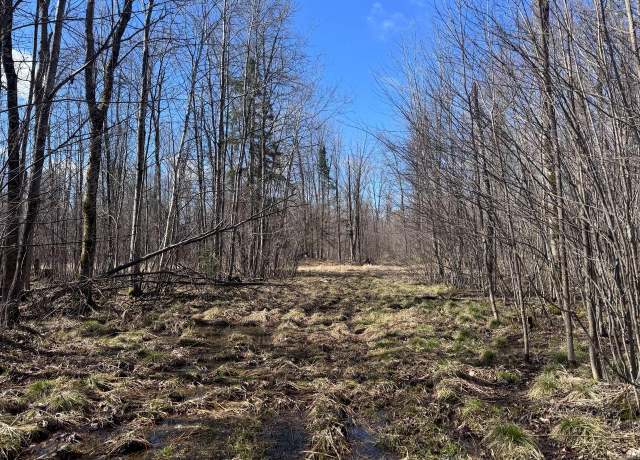 Property at Lt1 Wood Creek Ave, Rib Lake, WI 54470